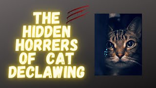 The Hidden Horrors of Cat Declawing [upl. by Atinwahs]