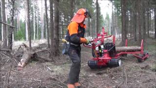 Järnhästen Skogens mångsysslare Jagamedhasse [upl. by Assirrec]