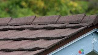 Home Inspection  Roofs  Part 1 of 3 [upl. by Llennoj]