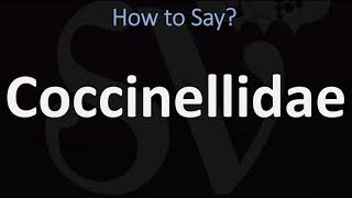 How to Pronounce Coccinellidae CORRECTLY [upl. by Ariay]