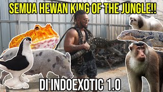 SEMUA HEWAN KING OF THE JUNGLE DI INDOEXOTIC 10 Audreykingofthejungle indoexotic [upl. by Enelrahc416]