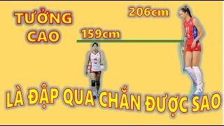 Huyền Thoại Yoshie Takeshita  Chỉ Cao 159cm Nhưng Chắn BÓng Rụng Chiều Cao 206cm  Bóng Chuyền [upl. by Nadual252]