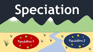 Speciation The Evolutionary Process  Basic Science Series [upl. by Danna60]