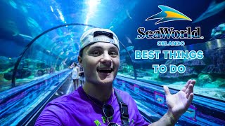 The Best Things to do at SeaWorld Orlando in 2023  Coaster Capital of Orlando [upl. by Joost]