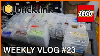 THE GREAT CONSOLIDATION AND MORE CATALOGERS  Weekly LEGO Selling Vlog 23 [upl. by Akeyla484]