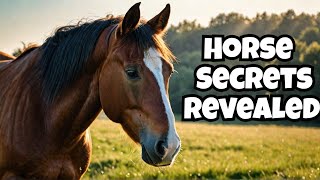 The Most Amazing Horse Facts 🐎 animals minimal facts animalfacts wildanimalfacts [upl. by Baler703]