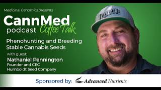 Phenohunting and Breeding Stable Cannabis Seeds with Nathaniel Pennington [upl. by Gaspar]