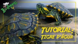 Tutorial Tigre Dágua [upl. by Urania]