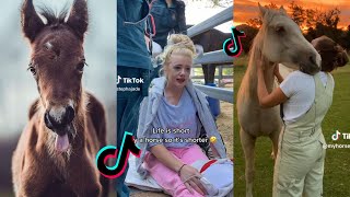 The Cutest HORSES  Equestrian TikTok Compilation 60 [upl. by Eisenberg]