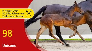 50th Elite Foal and BroodmareAuction  Aug 9th  No 98 Unisono by Uno I  Xaar xx [upl. by Aaren288]