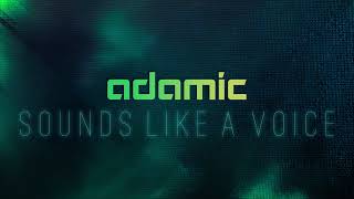 Adamic  Sounds Like a Voice Official Audio [upl. by Cantu393]