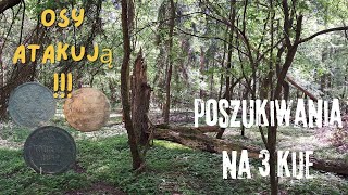 188 Poszukiwania detektorem  Poszukiwania w lesie na 3 kije 4k metaldetector [upl. by Nylhtak]