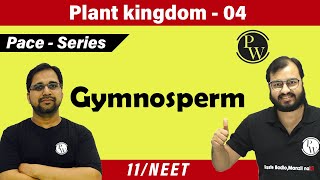 Plant Kingdom 04 Gymnosperm  Class 11  NEET  PACE SERIES [upl. by Aylatan662]