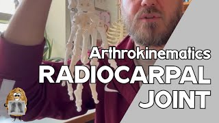 Radiocarpal Joint Arthrokinematics amp Osteokinematics [upl. by Ruggiero479]