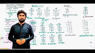 L03Monosaccharides Fischer projection part2 Biomolecules [upl. by Vern224]