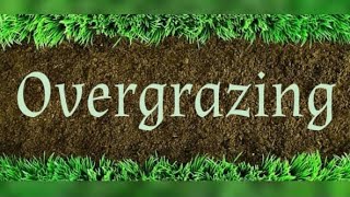 What is Overgrazing In English  Achievement [upl. by Jeanne]