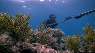 Bajau people of the Banda Sea  Rise of the Continents  Episode 2 Preview  BBC Two [upl. by Yasdnil465]