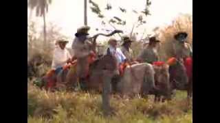 Boiada no Estradão  Reportagem Globo Rural Sobre a Tradição das Comitivas do MS [upl. by Katerine]