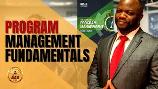 What is Program Management Learn the Frameworks amp Models [upl. by Annenn]