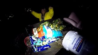 We Found Some Awesome Stuff Dumpster Diving  150 Pounds Of Dog Food [upl. by Aneled541]