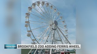 Brookfield Zoo announces new attractions including Ferris wheel in honor of 90th year [upl. by Nakre]