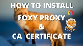 How to install Foxy Proxy amp CA Certificate in Burp Suite Community Edition [upl. by Ursal442]