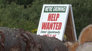 US economy adds 187000 jobs in July hiring slows [upl. by Nollaf738]