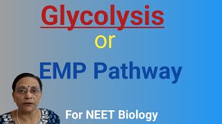 Glycolysis EMP Pathway [upl. by Maurits256]