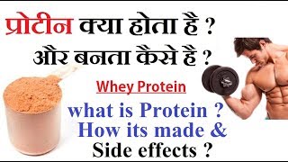 What is Protein  How its made  Side effects  Whey Protein  MUST WATCH all [upl. by Aztin571]