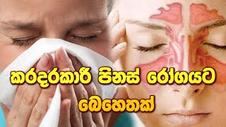 කරදරකාරී පිනස් රෝගයට බෙහෙතක් catarrh disease ayurveda sinhalaayurveda arthritiscure [upl. by Rothstein]