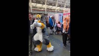 Tobey poses for photos at London Film amp Comic Con fursuit furry [upl. by Htenywg]