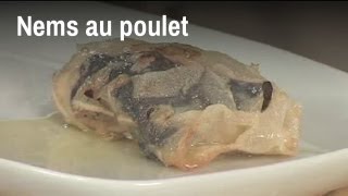 Recette des nems au poulet [upl. by Lleihsad]