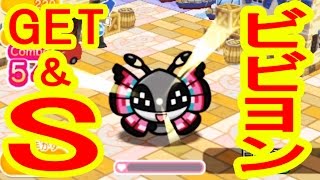 【追加ラストステージ】220 ビビヨン GET＆S ポケとる実況 [upl. by Benton439]