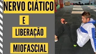 Síndrome do Piriforme Liberação Miofascial DOR CIÁTICA  Clínica de Fisioterapia Dr Robson Sitta [upl. by Saberhagen]