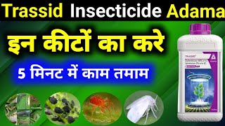 Trassid Insecticide Adama Trassid InsecticideTrassid Adama Bajrang Beej Bhandar [upl. by Adiaj]