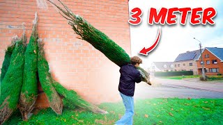 3 METER LANGE KERSTBOOM OPHALEN 🎄 232 [upl. by Bohlin]