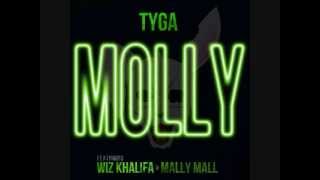 Molly  Tyga Ft Wiz Khalifa amp Mally Mall [upl. by Yrrah]