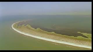 Donaudelta  Rumänien Danube delta Romania [upl. by Asssilem656]