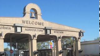 Border Inspection and Transporting Honeybee Colonies to California for Almond Pollination [upl. by Siocnarf647]