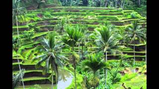 Ubud  Bali  Tempat Wisata di Indonesia [upl. by Yojal702]