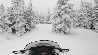 2021 SkiDoo Expedition SWT off trail riding [upl. by Orran]