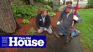 How to Repair an Asphalt Walkway  This Old House [upl. by Erodisi825]