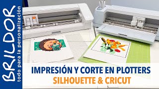 🤩 IMPRIMIR Y CORTAR CON CAMEO O CRICUT  SUBLIMACIÓN [upl. by Jordans]