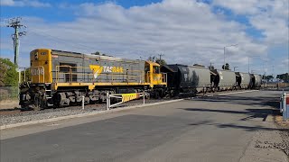 TasRail DQ 2008 with coal wagons East Tamar Yard [upl. by Anson]