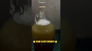 The Closet Brewery mead diy brewery hobby honey bee nature homemade craftabrew [upl. by Hebrew]