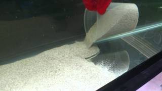 Adding sand without clouding the water [upl. by Naquin]