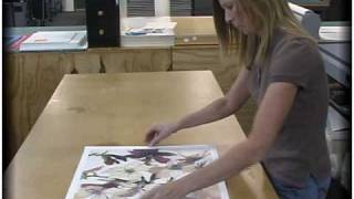 Mounting Your Artwork for DIY and Custom Framing with American Frame [upl. by Ymor]