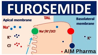 Furosemide Lasix  Uses Dosage and Side Effects of FurosemidePharmacology 2023AIM Pharma [upl. by Alexa215]