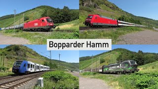 Bahnverkehr am Bopparder Hamm mit Eurocity Intercity Vlexx 622 Desiro ML und vielen Güterzügen [upl. by Orips]