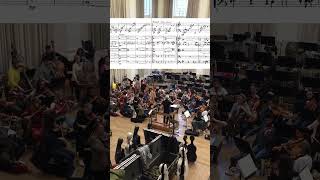 Mahler Symphony No 5 – Adagietto shorts [upl. by Ddet]